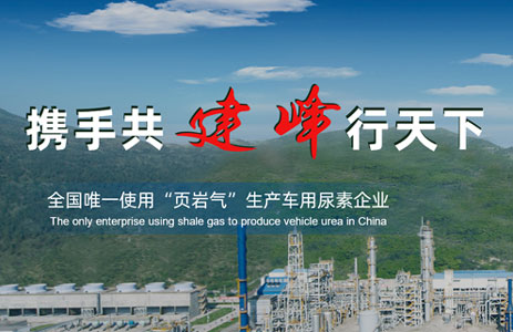 816建峰化工_上海網(wǎng)站制作公司作品圖片，上海網(wǎng)站開(kāi)發(fā)公司作品縮略圖
